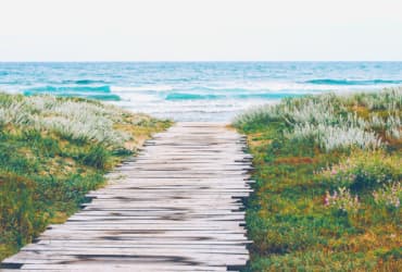 The path through the meadow to the sea is lined with boards