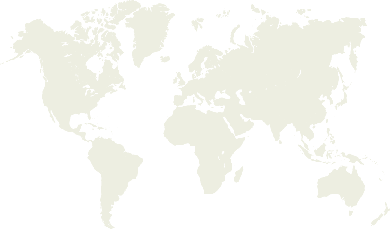 Contour map of the world in gray